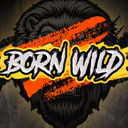 EMELON1688 HS slot Born Wild