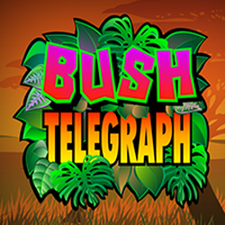 EMELON1688 MG slot Bush Telegraph