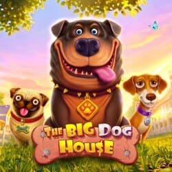 EMELON1688 PP slot The Big Dog House