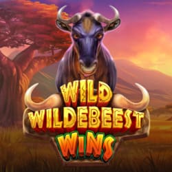 EMELON1688 PP slot Wild Wildebeest Wins
