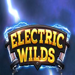 EMELON1688 RELAX slot Electric Wilds